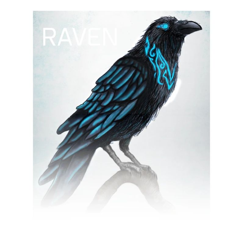 Odin's raven