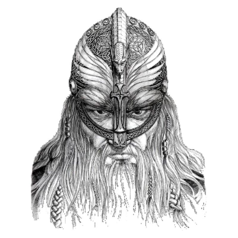 Vikinger 2