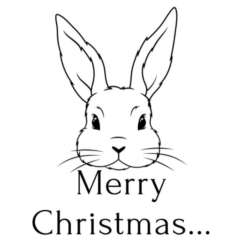 Lapin de Noël / Noël