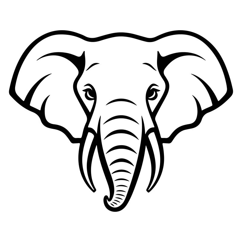 Elefant Kopf