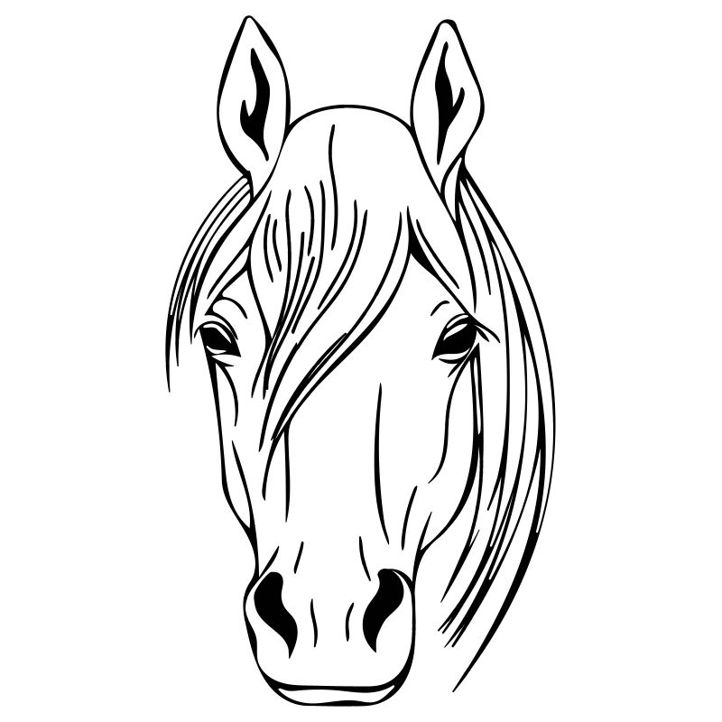 Pferdekopf Vector
