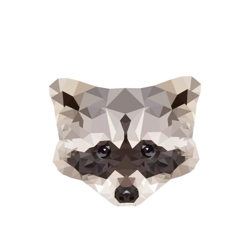 Polygone de raton laveur