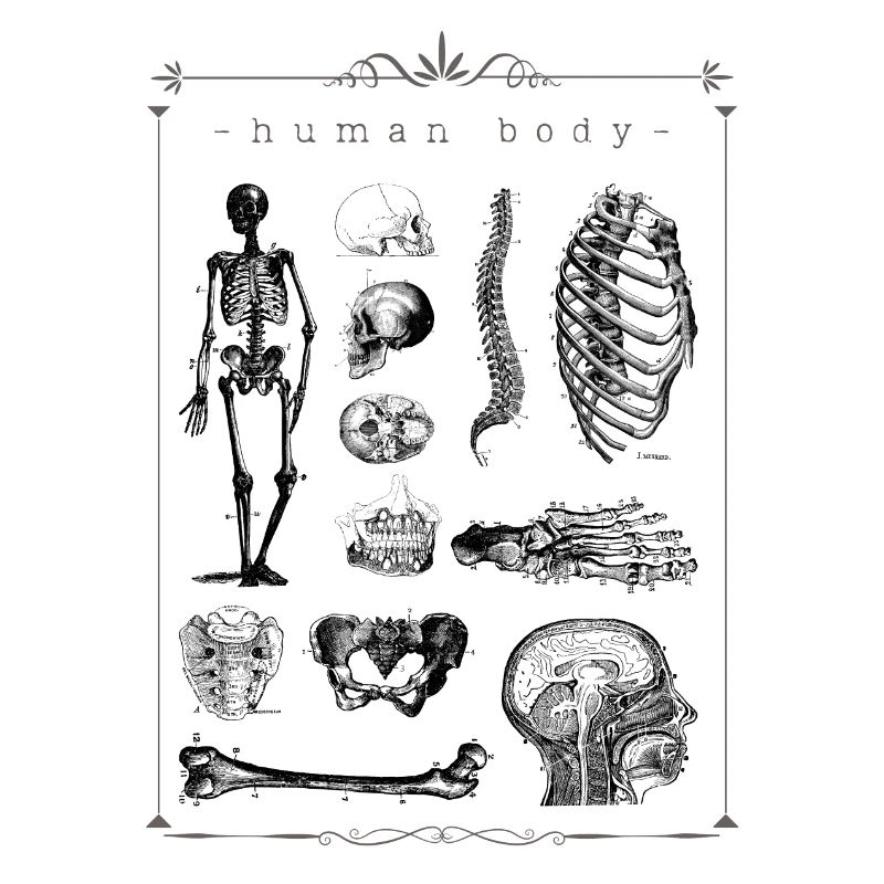 medical study
