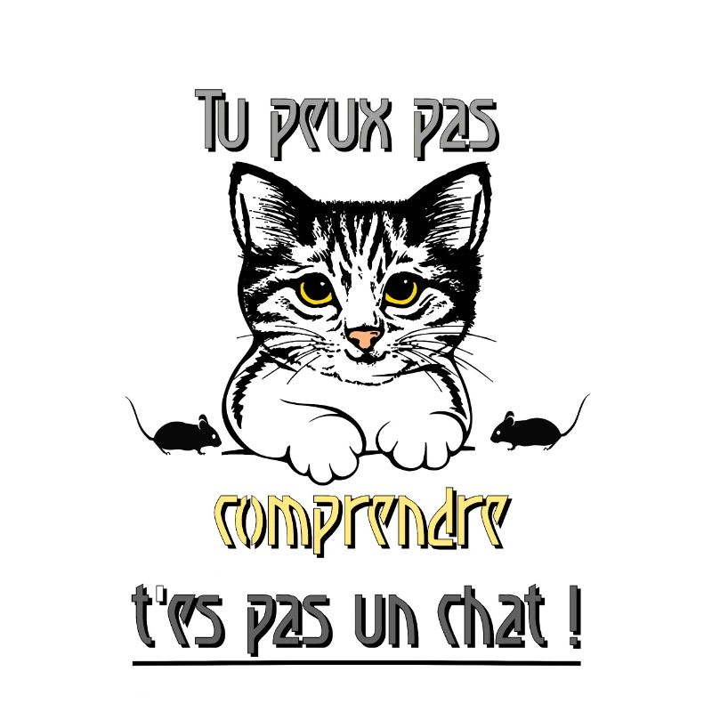 Tu peux pas comprendre t'es pas un chat