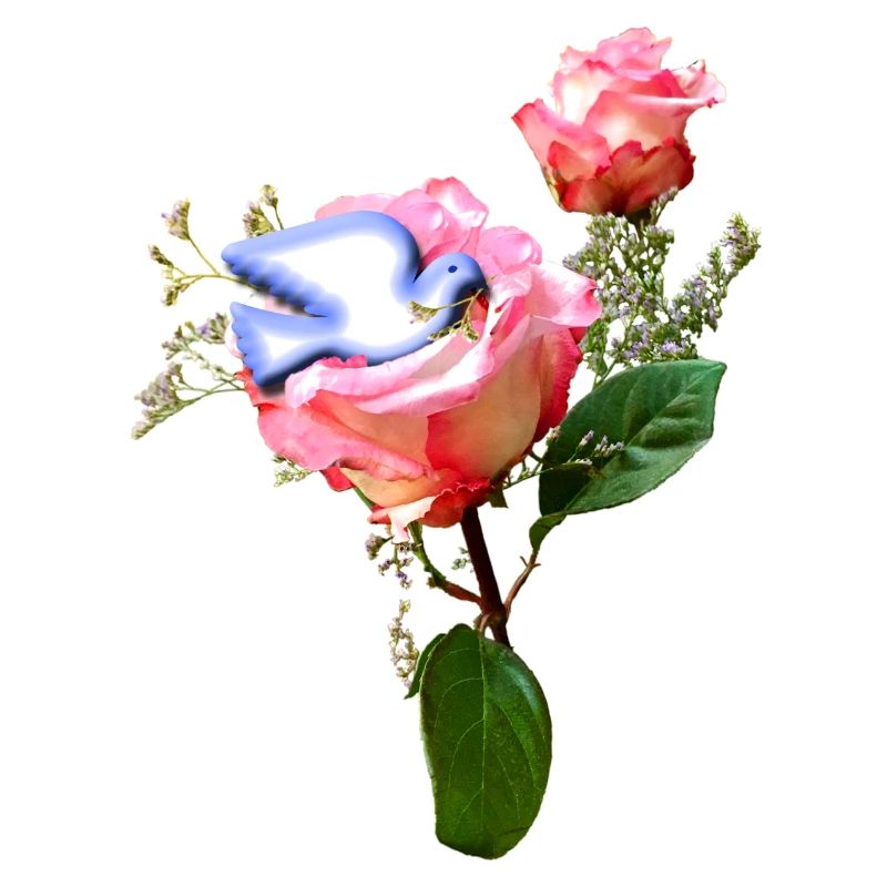 Rosen mit Friedenstaube