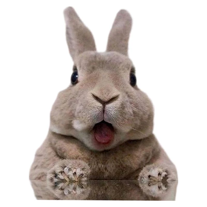 Lapin