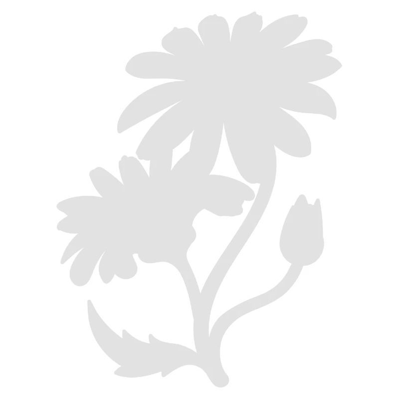 Einfache Gänseblümchen