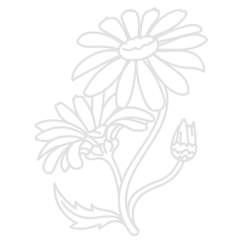 Einfache Gänseblümchen