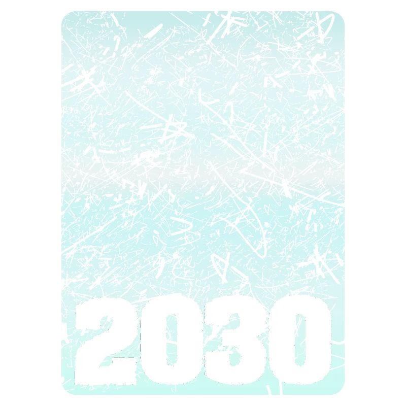 Year 2030