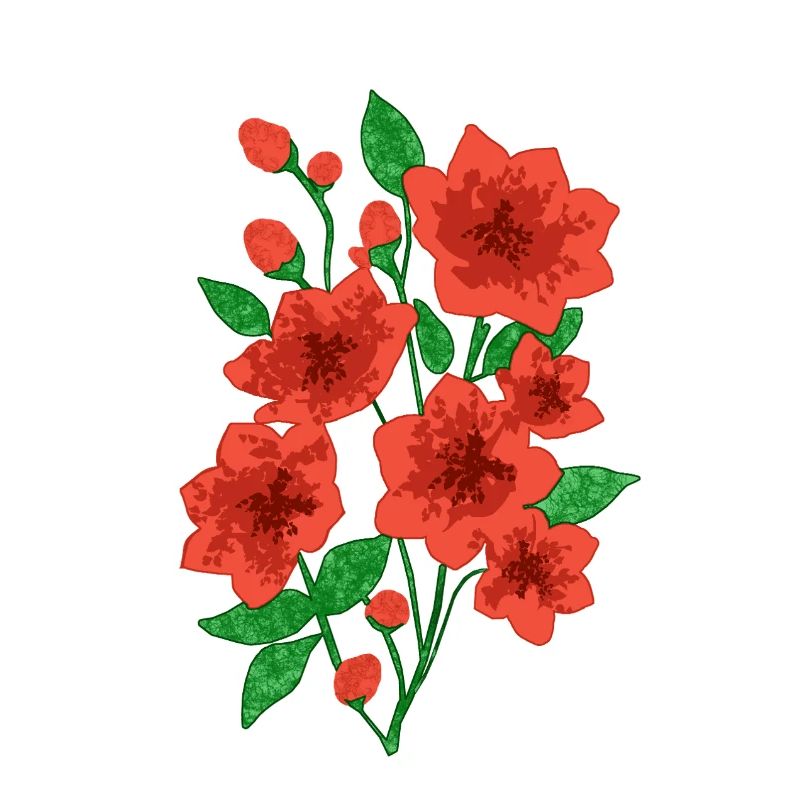 Blühende Anmut : Dunkelrosa Blüten