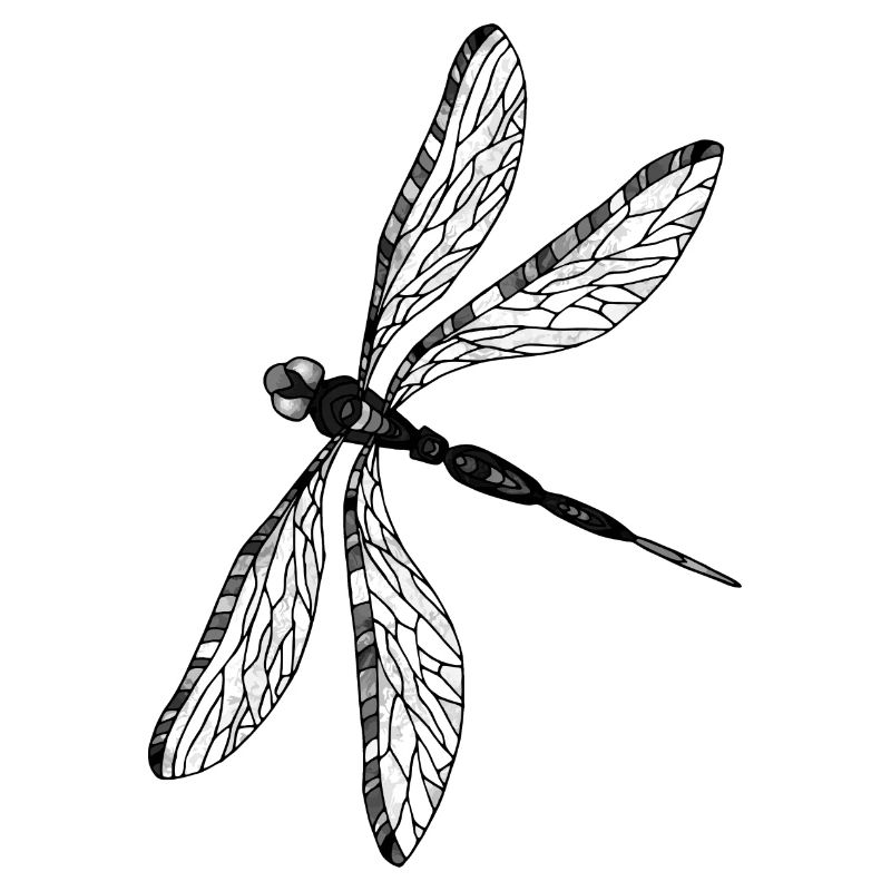 Libelle