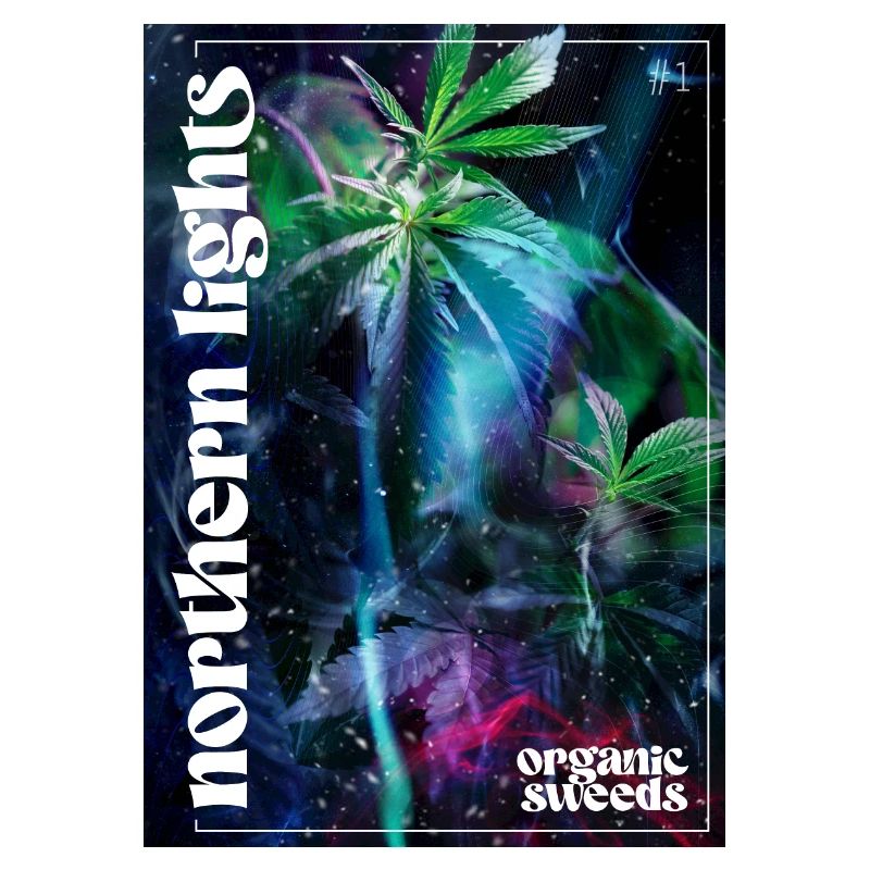 Northern Lights