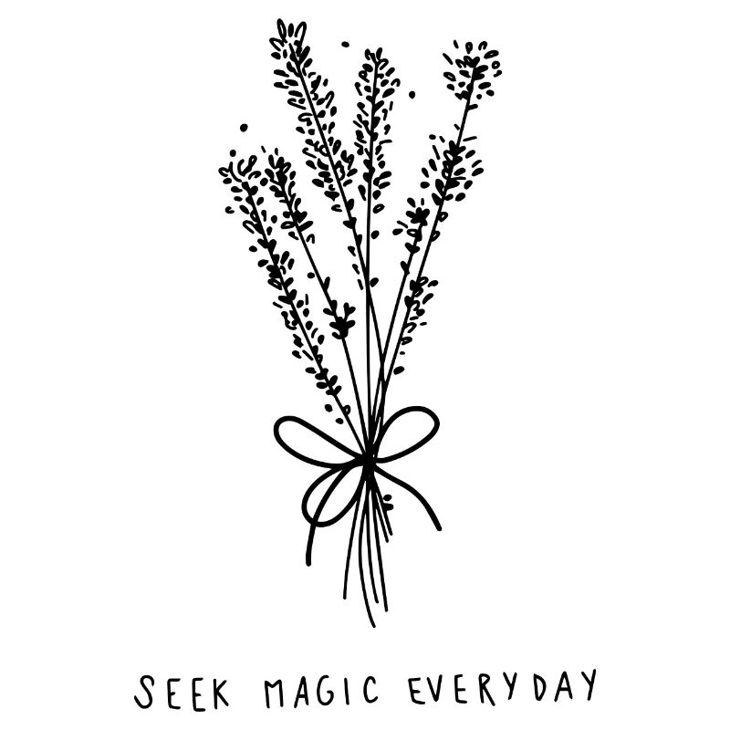 seek magic everyday