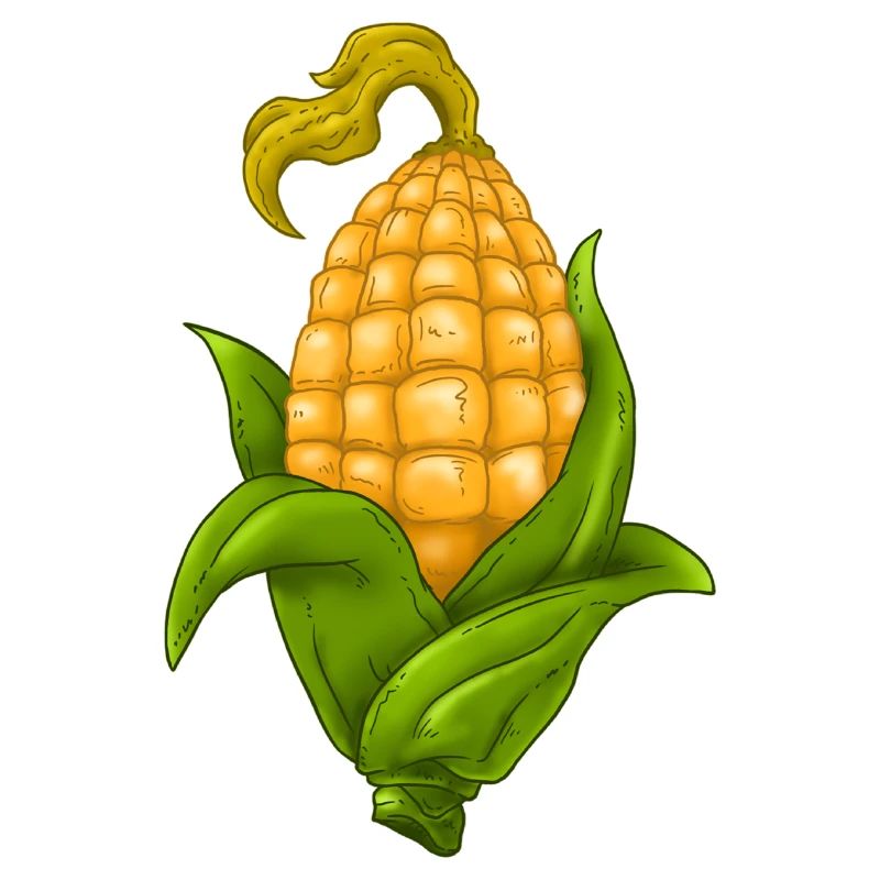 Corncob