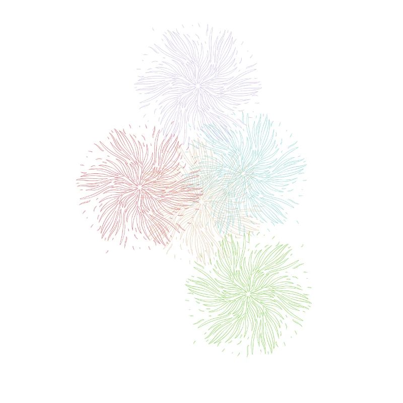 5 Feather Suns