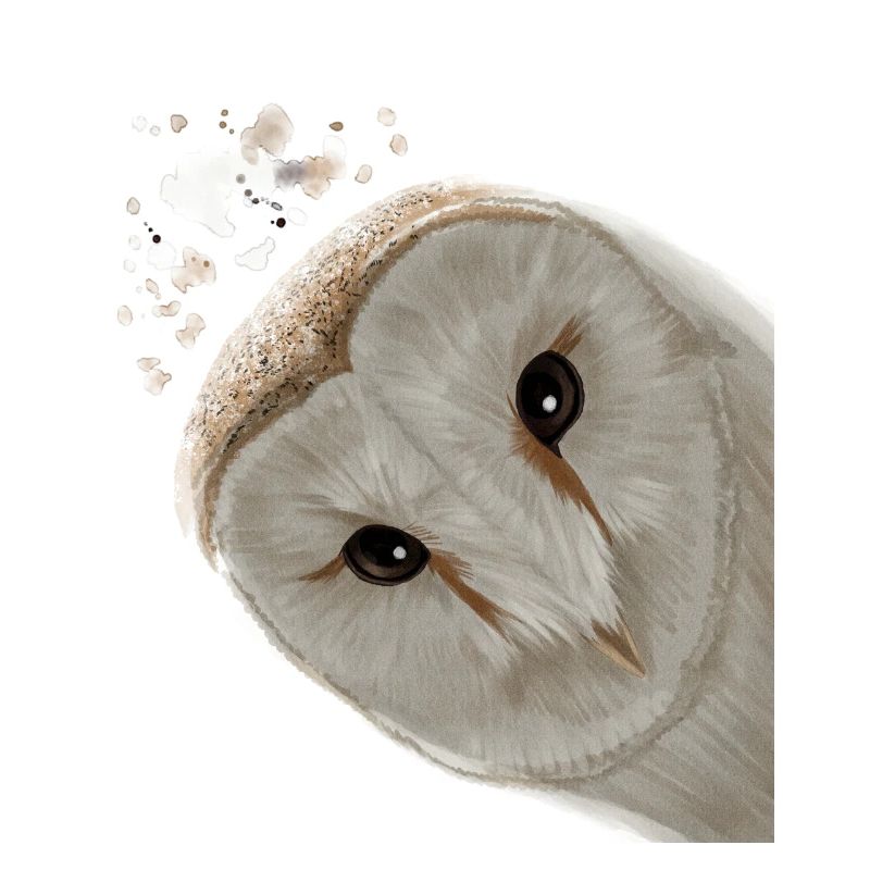 Funny Curious Owl