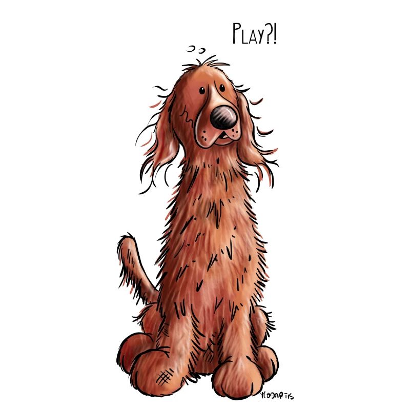 Irish Red Setter Play