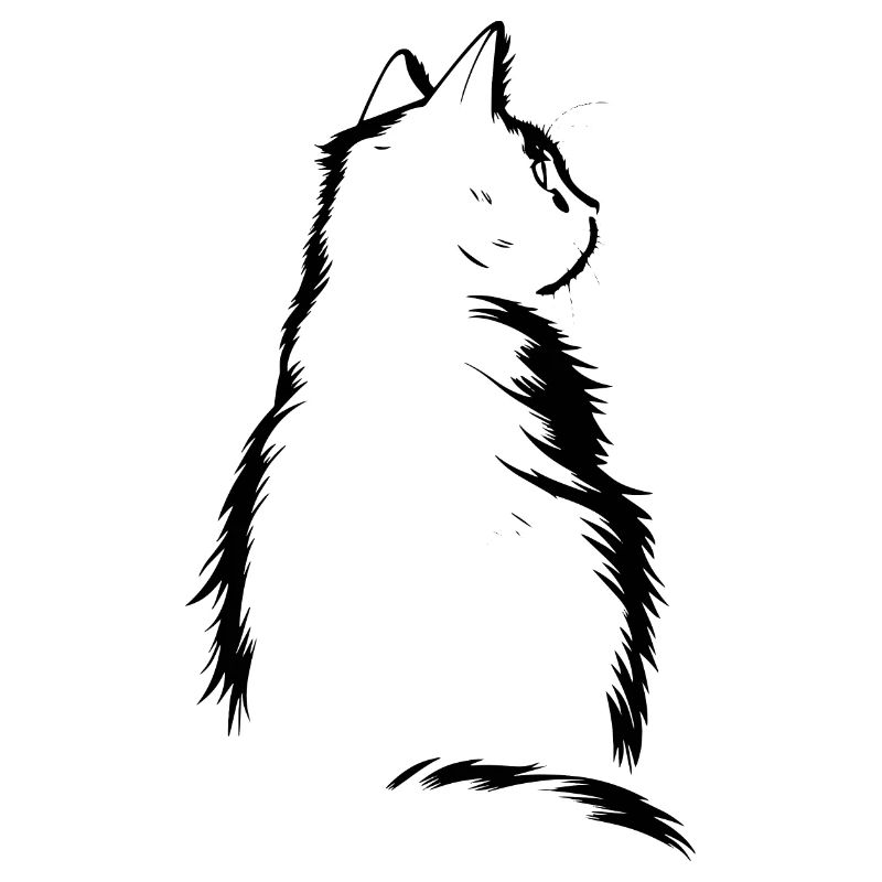 Cat, Cat Motif