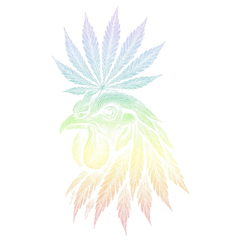 Rooster