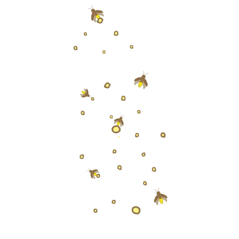 Lightning Bugs Catching Fireflies I Fireflies