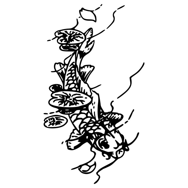 Japanese carp