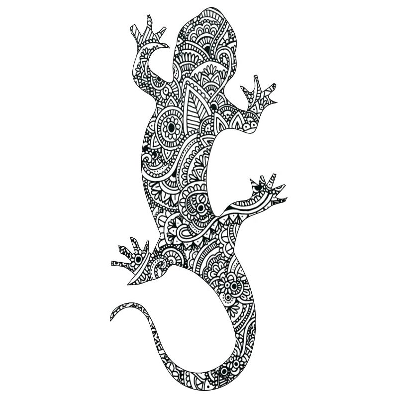 lizard