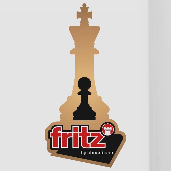 Fritz 19 Rey y Peón de ajedrez