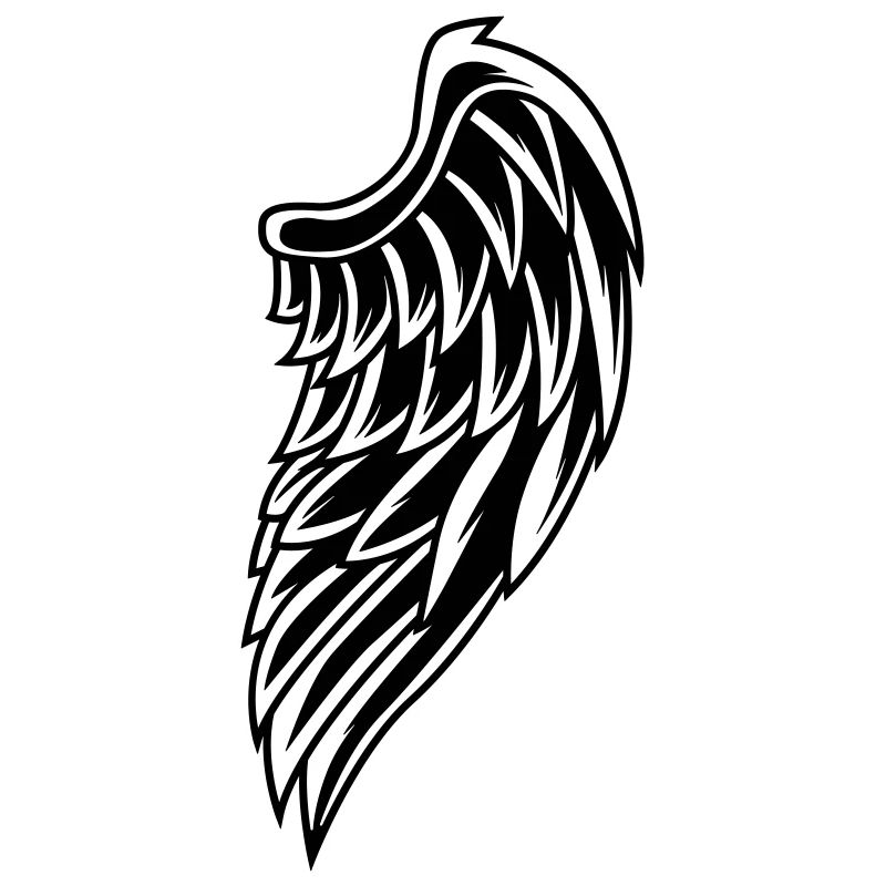 Wings