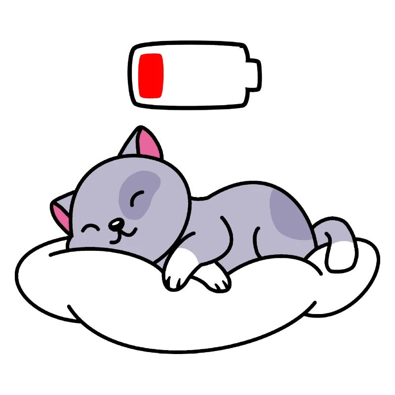 Cat Sleeping Cute