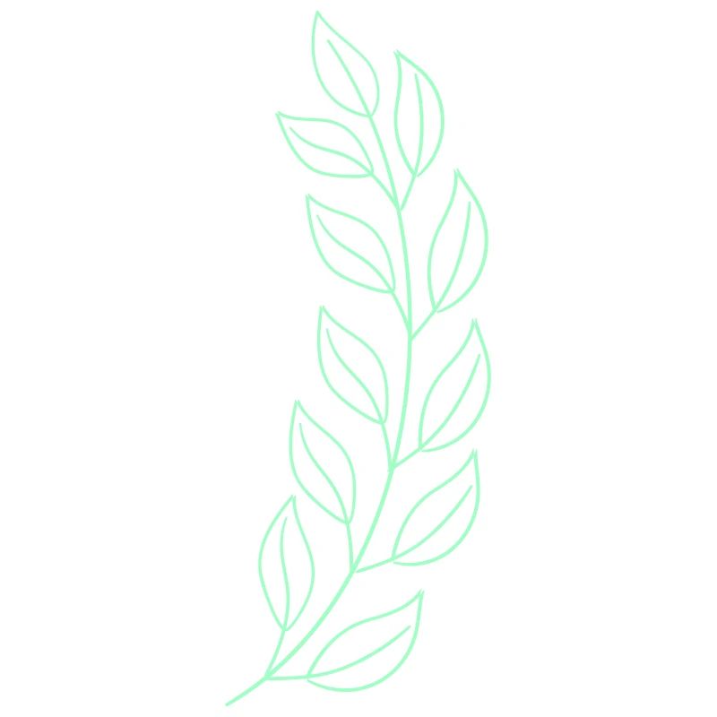 Feuille de blé