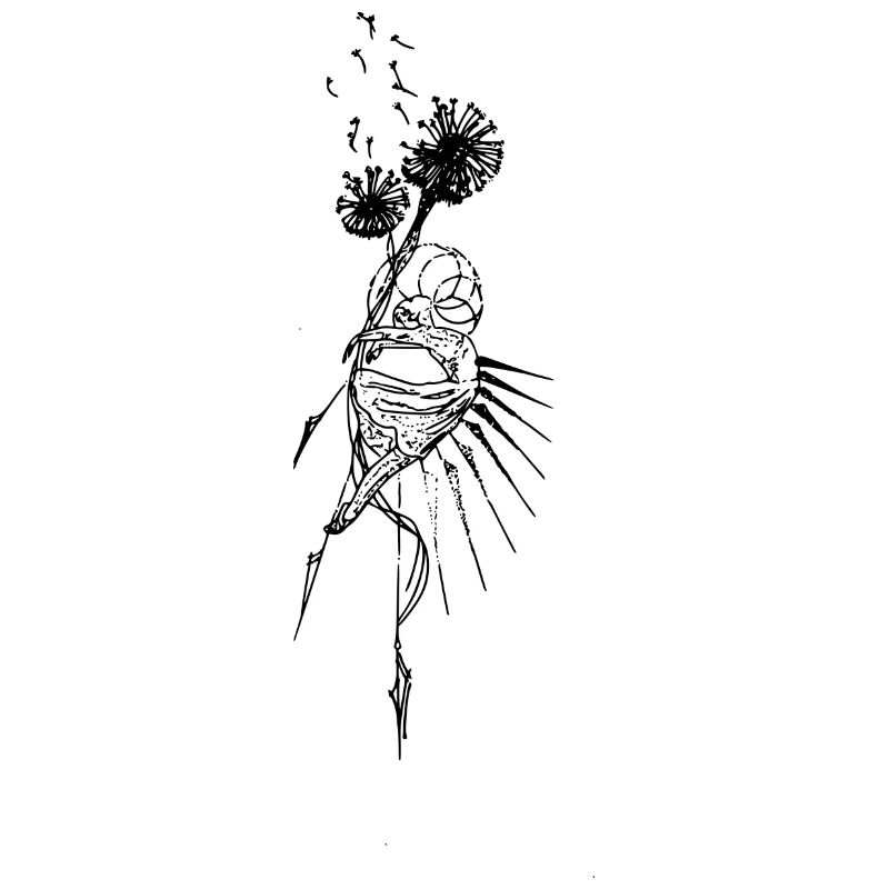 Dandelion dance
