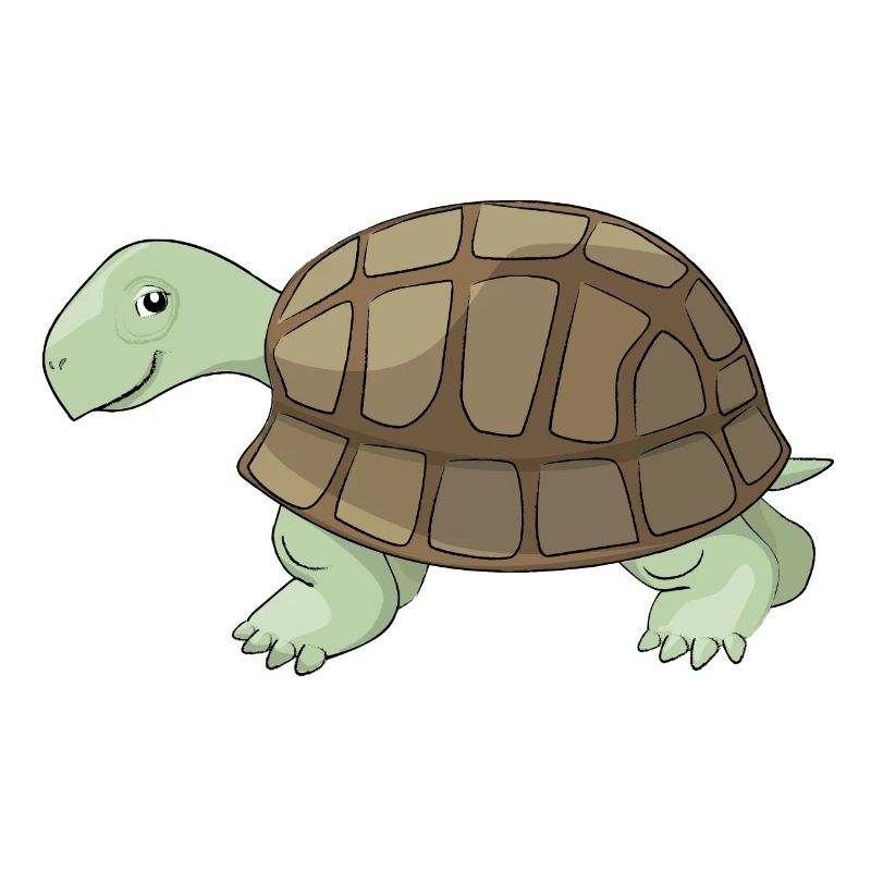 M. Slow