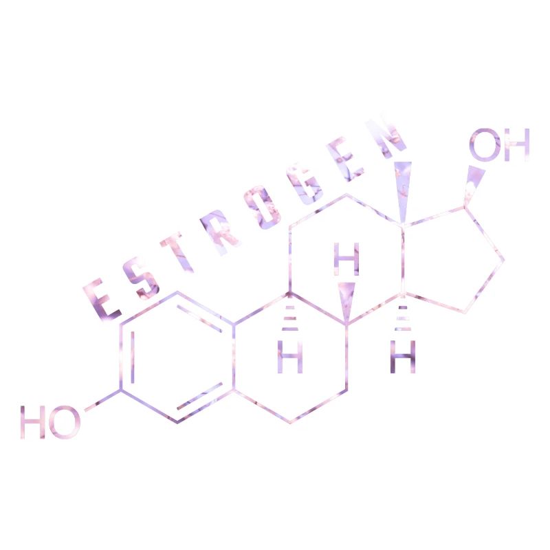 estrogen molecule