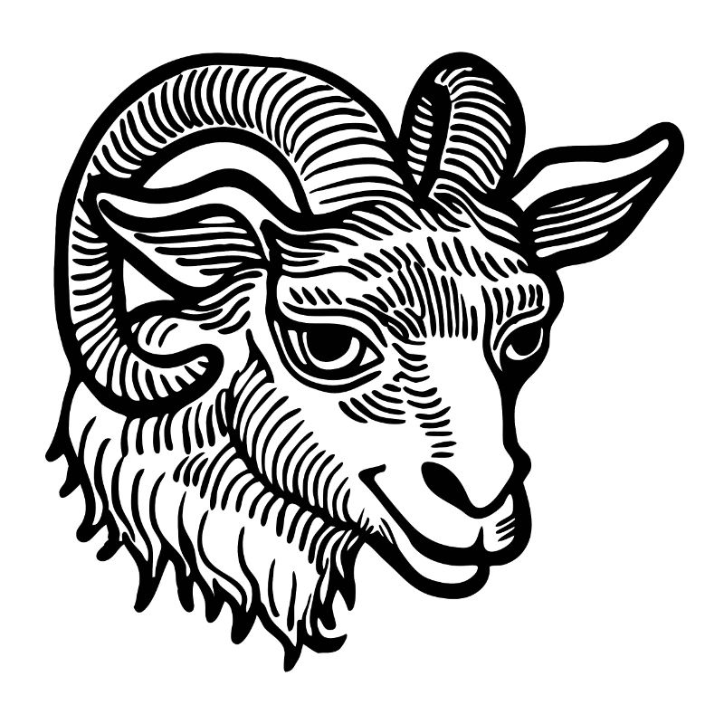 Steinbock Ziege