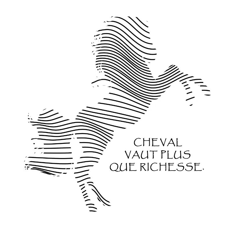 Cheval Noir et Blanc