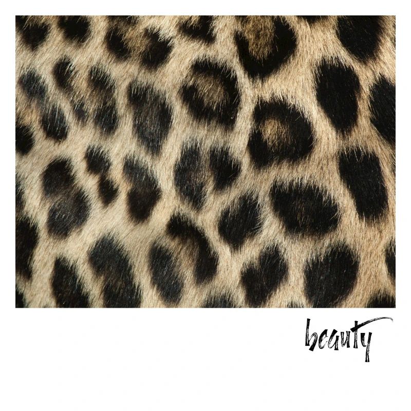 Leo Print