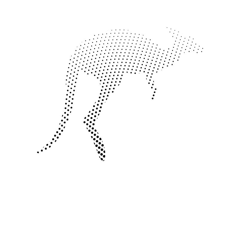 Kangaroo