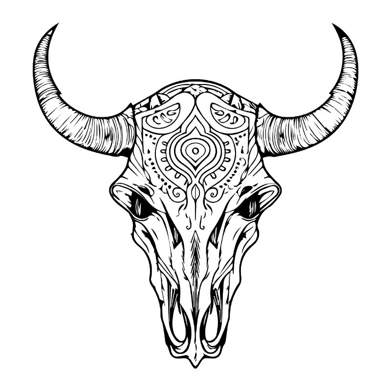 Cow Skull Boho