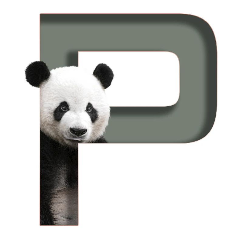 Alphabet, Buchstabe P, Panda