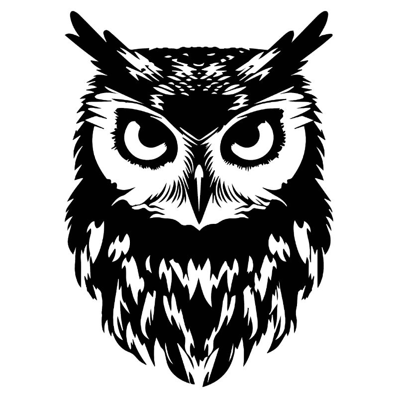 Eule Eulen Vogel Vögel