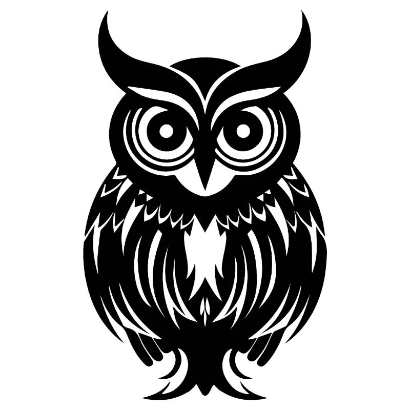 Eule Eulen Vogel Vögel