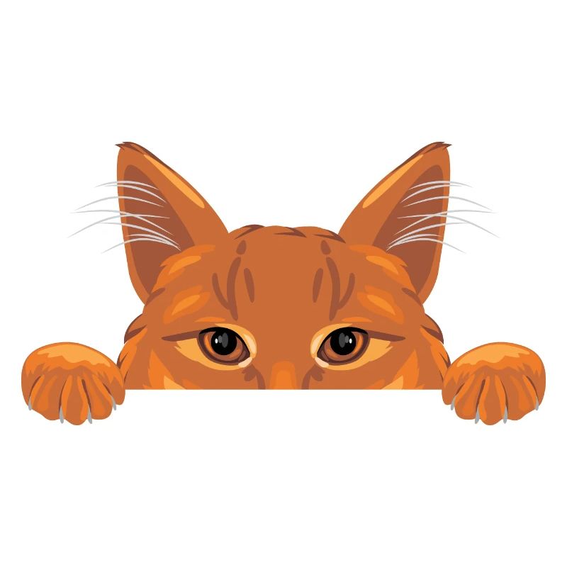 Peeking ginger cat