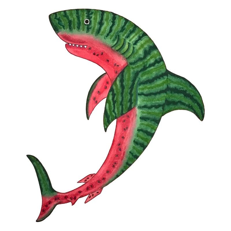 melon requin melon requin poisson melon kawaii plongée