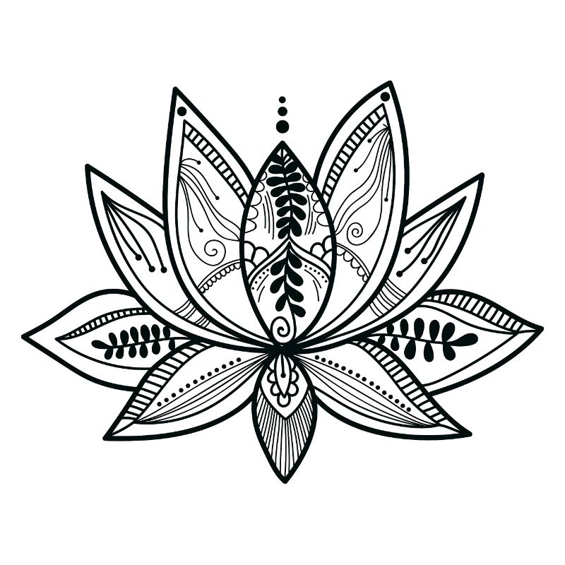 Lotus Flower