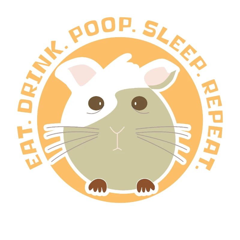 Cochon D'inde eat, drink, poop, sleep, repeat