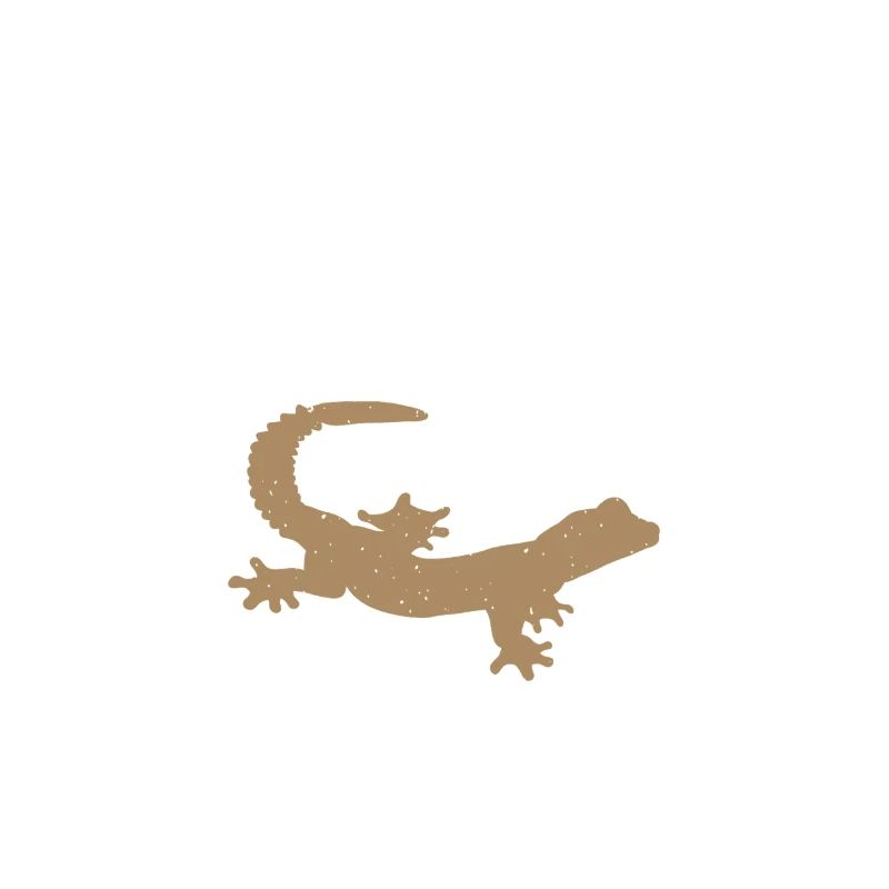 Tiny Dinosaur Whisperer