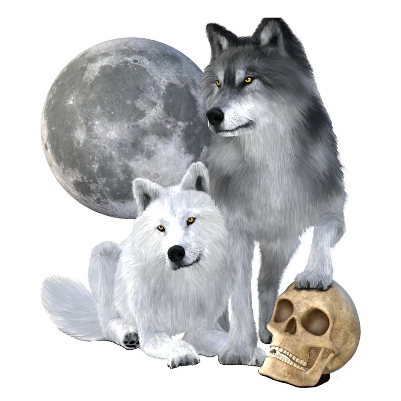 Wolves, white, grey, moon, skull
