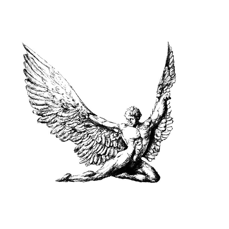 Muscle angel