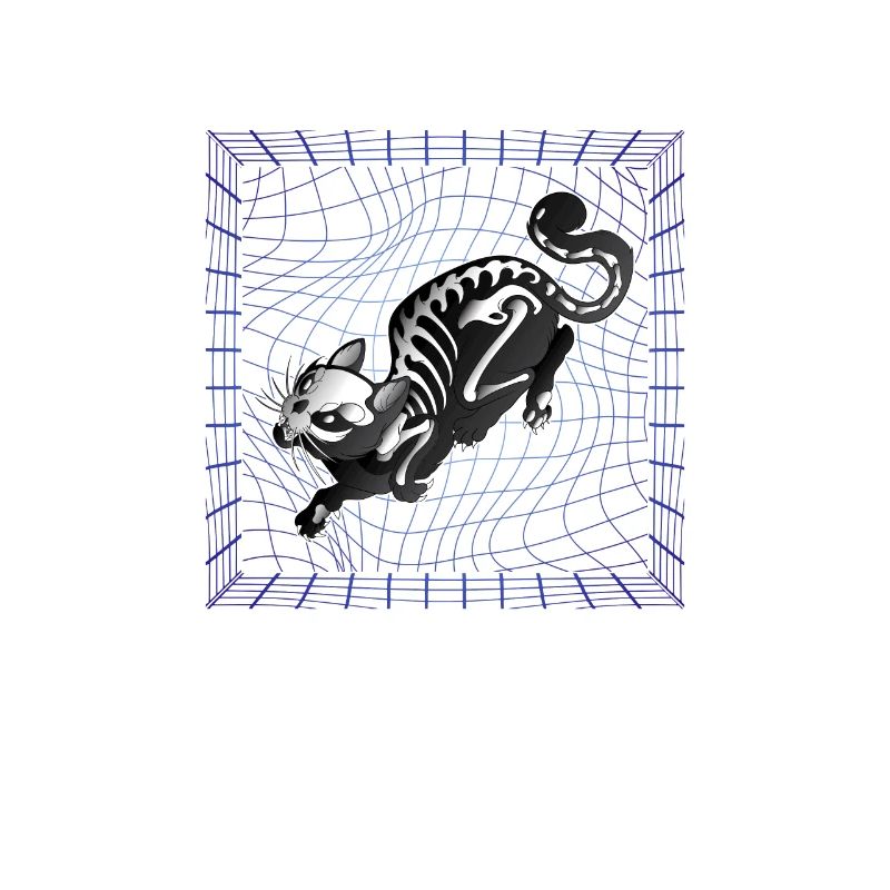 Physics Quantum Nerd Dead + Alive Schrödingers