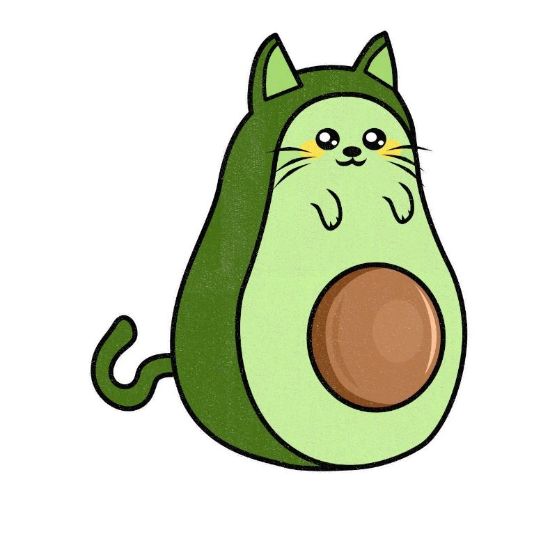 Avocado avocado lover
